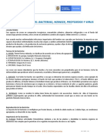 Documento - Taller Microbiologia