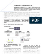 Baterías para Paneles Solares Fotovoltaicos