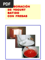 Download Elaboracion Yogurt Batido con Fresas by anon-728132 SN470533 doc pdf