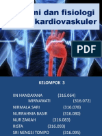 Sistem Kardiovaskuler