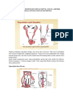 Bagian Sistem Reproduksi Hewan Reptil