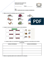 Clasificación de Los Animales Clasificación de Los Animales Invertebrados