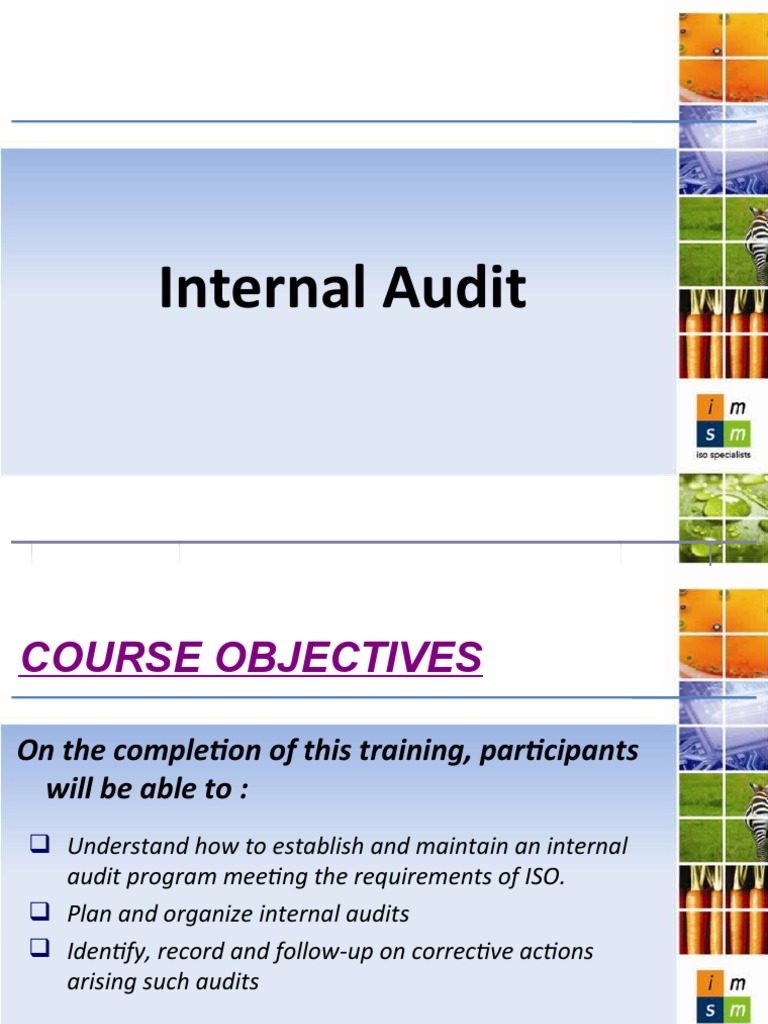 Internal Audit Training Overview | PDF | Internal Audit | Audit
