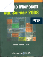 Perez C 2010 SQL Server 2008