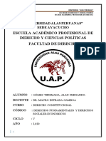 Trabajo Academico Derecho Constitucional PDF