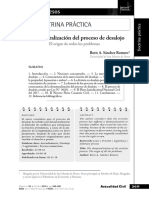 Doctrina Practica La Desnaturalizacion D PDF