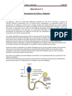 Guia de Laboratorio