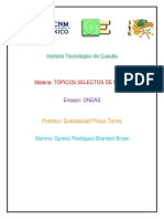 Ensayo de Ondas PDF