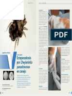 Dialnet-CasoClinico-7150823 (1).pdf