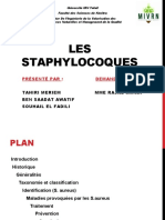 Staphyloccoque 2