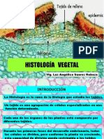 HISTOLOGIA