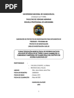 PROYECTO CARACTERIZACIÓN MORFOLÓGICA  RIZOBIOS NATIVOS AISLADOS NÓDULOS TARWI.docx