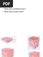 Biol109 Histology Study Slides