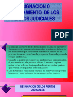 Designacion o Nombramiento de Peritos