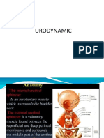 Urodinamik