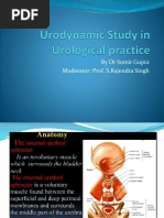 Urodynamic Procedure CPT Codes Guide | PDF | Urination | Urinary ...