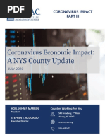 County Economic Update - 7-24-20