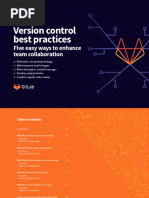 Version Control Best Practice PDF