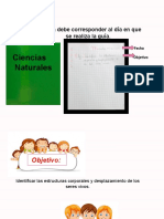 1° Básico Ciencias Naturales