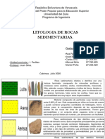 ACTIVIDAD 1 Asignación Litología y Petrofisica..