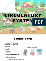 Circulatory System