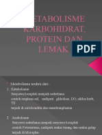 Metabolisme Karbohidrat, Protein Dan Lemak