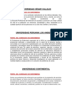 Perfil de Los Enfermeros PDF
