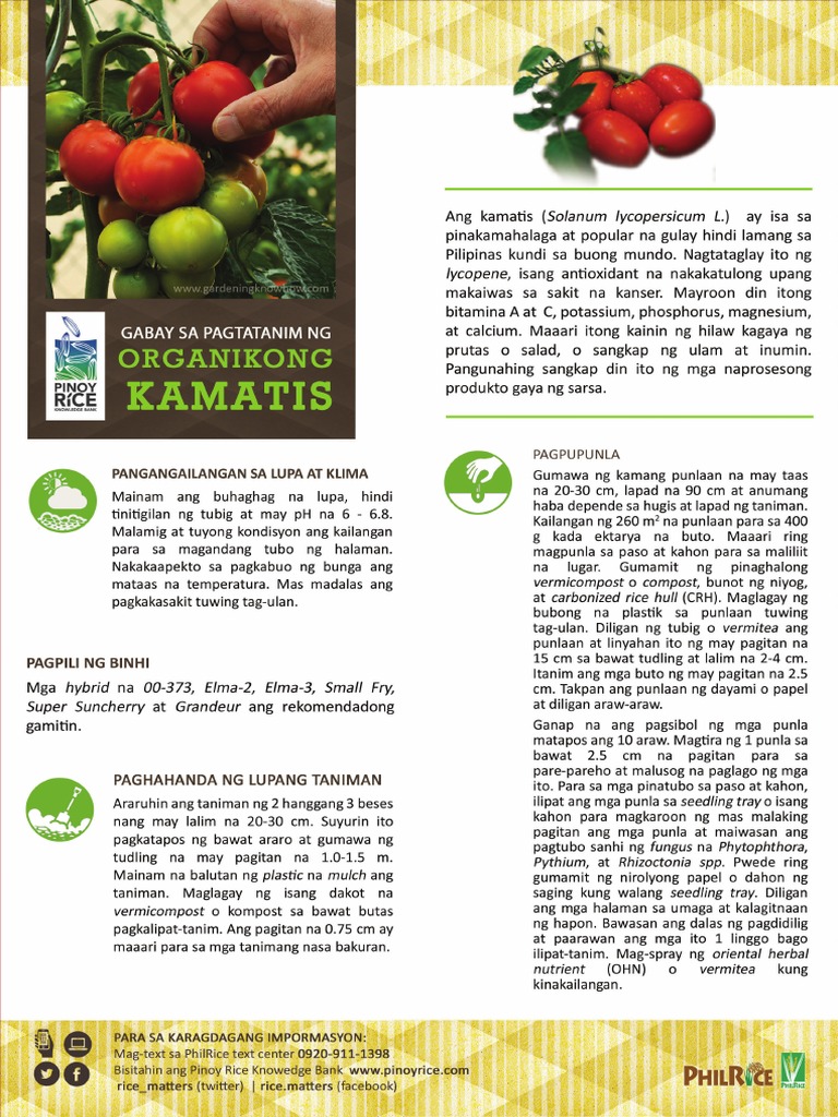 Organikong Kamatis PDF | PDF