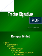 Kuliah 2. TRACTUS DIGESTIVUS.BLOK X.ppt