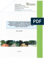 Rapport de Screening PDF