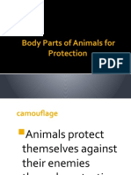 Body Parts That Help Animals Protect Themselves