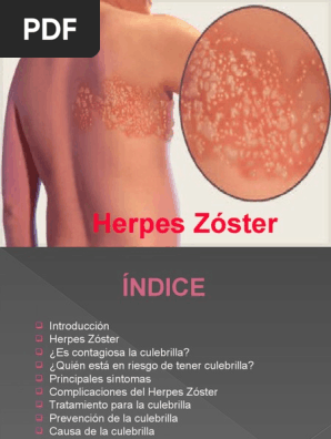 Herpes Zoster Pdf Medicina Veterinaria Salud Publica