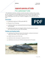 Endangered Species of India: The Leatherback Turtle