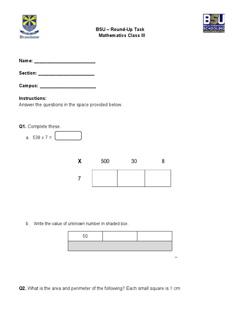 Math Task for Class 4 Students | PDF