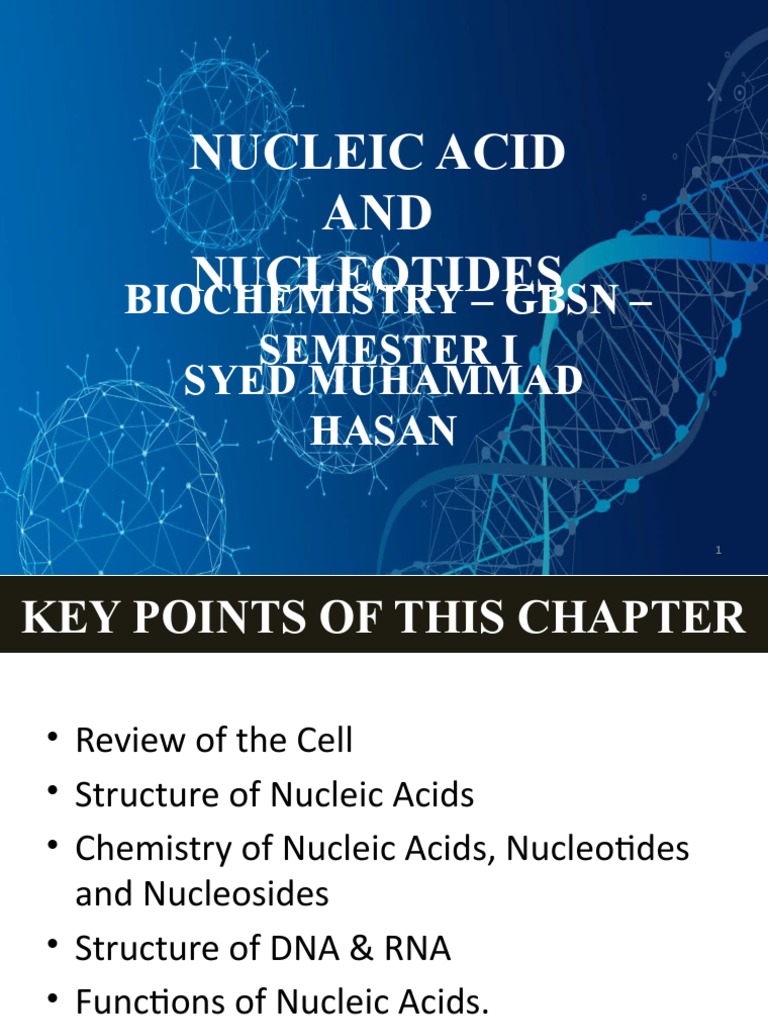 Nucleic Acids: Structure and Function | PDF | Nucleotides | Dna