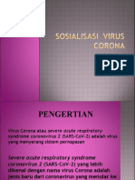 Corona Virus