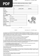 Planificación curricular inicial 3 años