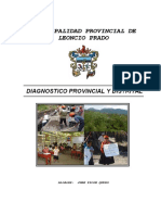 Diagnostico Provincial L. Prado