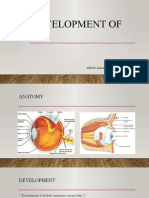 Ophthalmology-Development of Eye