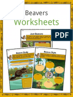 Sample Beavers Worksheets