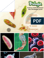 protozorioseprotozooses-130521160639-phpapp01.pdf