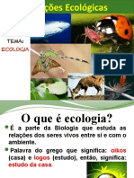 Aula Relacoes Ecologicas