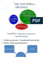 Domínio: Bactéria E Archaea