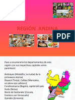 Presentación Región Andina