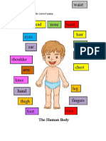 The Human Body: Connect The Body Parts To Its Correct Name