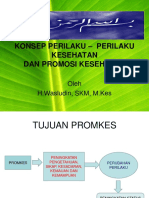 Perilaku-Perilaku Kes Dan Promokes