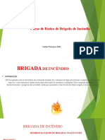 Curso de Brigada de Incêndio Basico - Helt Engenharia