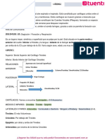 Laringe - Faringe - Traquea-Tiroides-PTH-Esógafo Cervical PDF