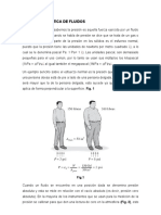 Presion y Estatica de Fluidos