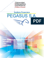 Análisis Financiero PEGASUS S.A.
